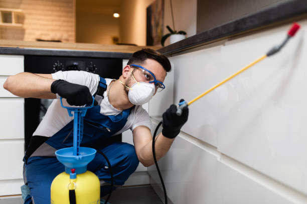 Pest Prevention Services in Harper Woods, MI
