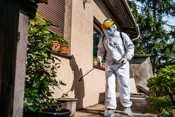 Best Insect Control  in Harper Woods, MI