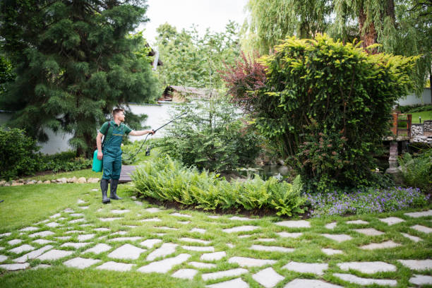Best Pest Inspection Near Me  in Harper Woods, MI