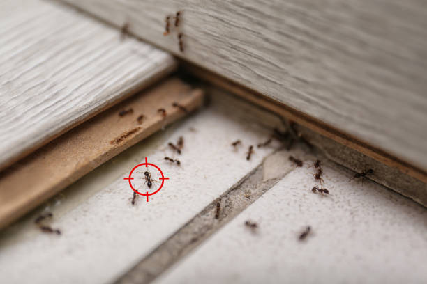 Harper Woods, MI Pest Control Company
