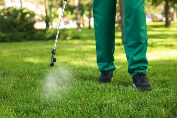 Wasp Removal Services in Harper Woods, MI