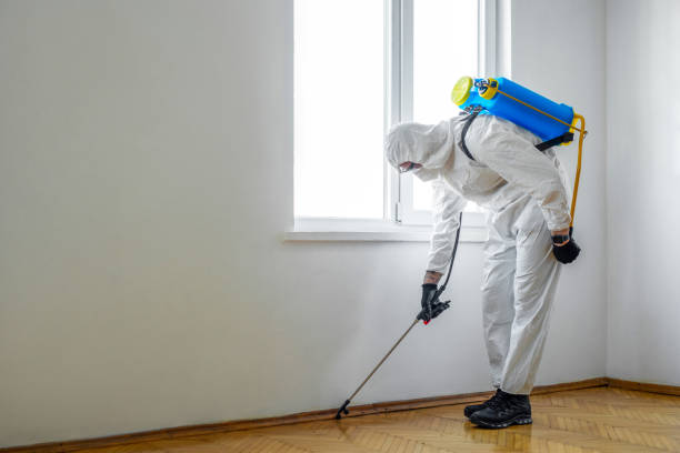 Best Pest Control Near Me  in Harper Woods, MI