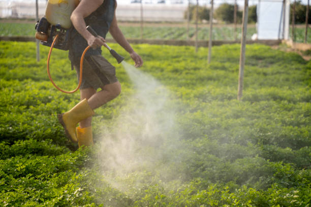 Best Affordable Pest Control Services  in Harper Woods, MI