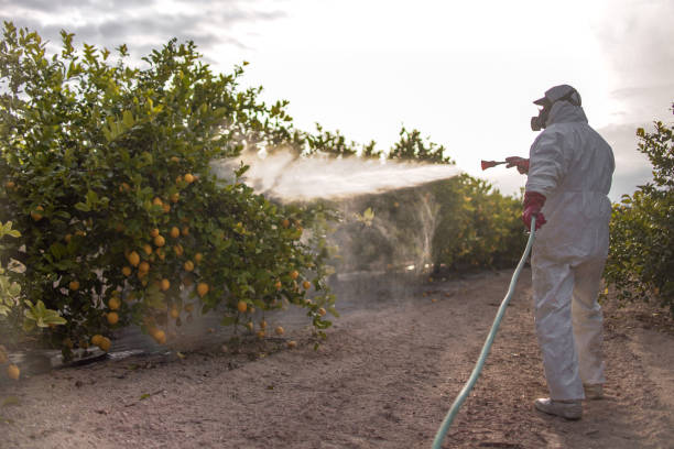 Best Affordable Pest Control Services  in Harper Woods, MI