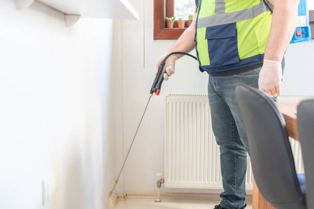 Best Wasp Removal Services  in Harper Woods, MI