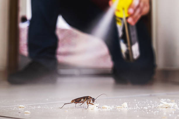 Best Commercial Pest Control Services  in Harper Woods, MI